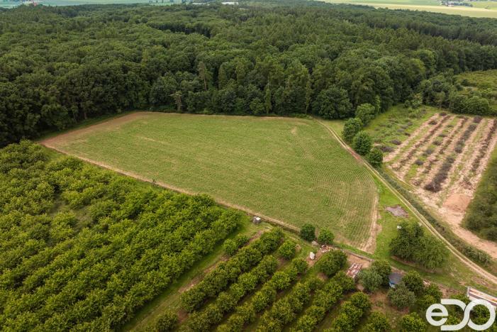 Prodej pozemku pro bydlení, Těchlovice, 11163 m2