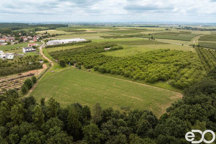 Prodej pozemku pro bydlení, Těchlovice, 11163 m2