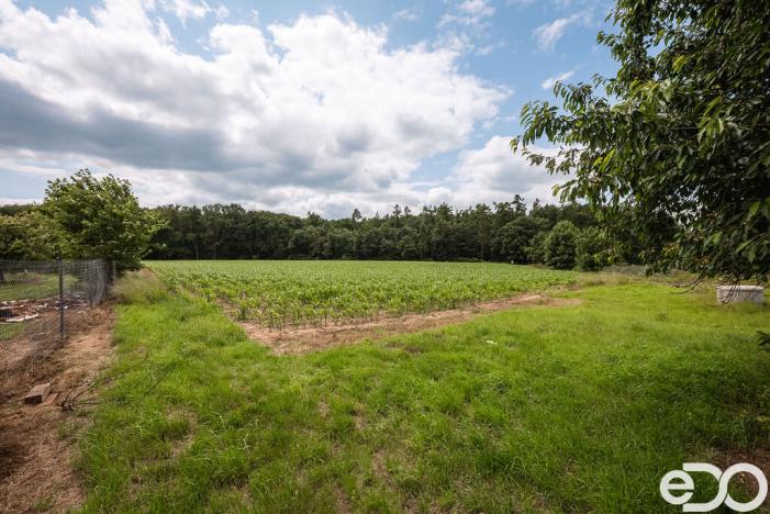 Prodej pozemku pro bydlení, Těchlovice, 11163 m2