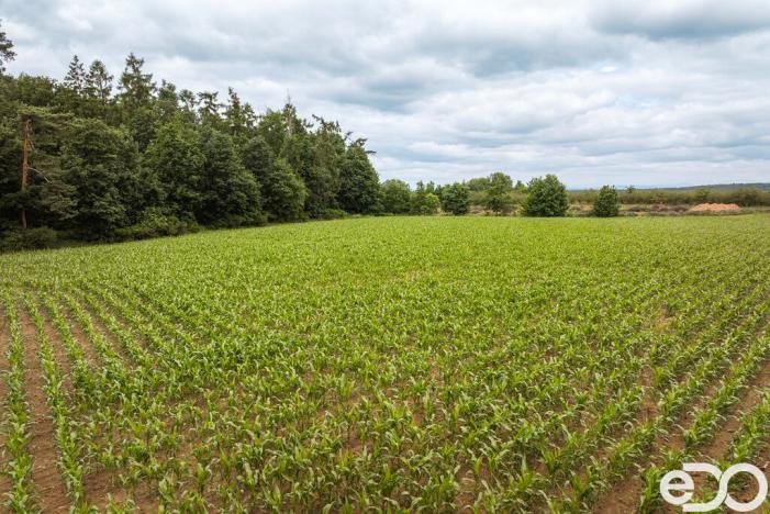 Prodej pozemku pro bydlení, Těchlovice, 11163 m2