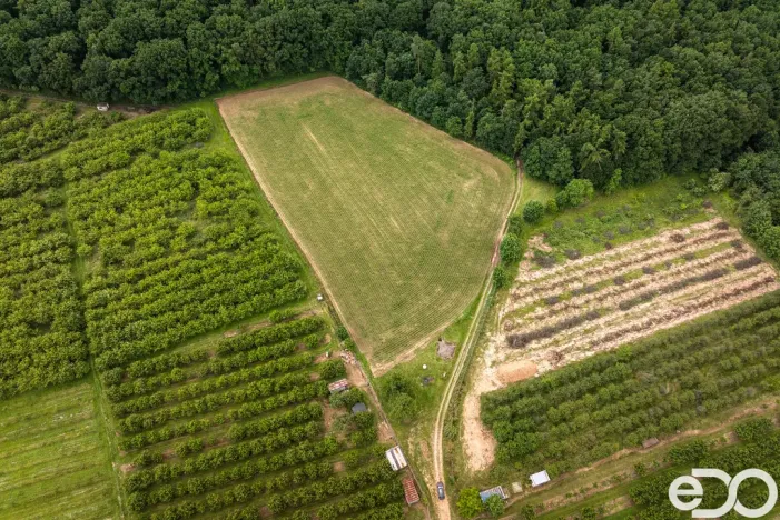 Prodej pozemku pro bydlení, Těchlovice, 11163 m2