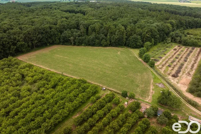 Prodej pozemku pro bydlení, Těchlovice, 11163 m2