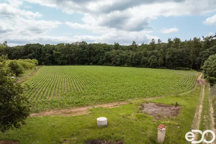Prodej pozemku pro bydlení, Těchlovice, 11163 m2