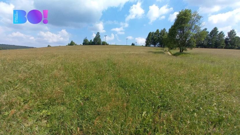 Prodej pole, Křižánky - České Křižánky, 5336 m2