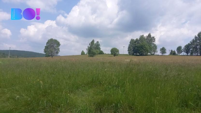 Prodej pole, Křižánky - České Křižánky, 5336 m2