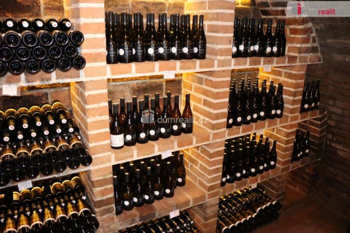 Prodej garáže, Horní Věstonice, U Venuše, 165 m2