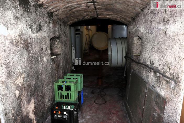 Prodej garáže, Horní Věstonice, U Venuše, 165 m2