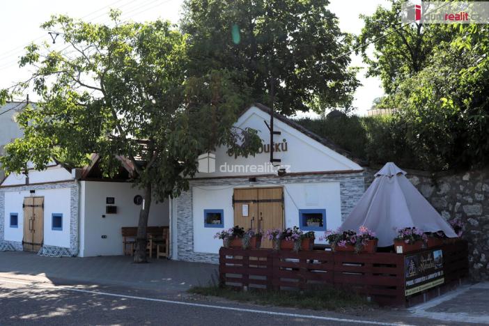 Prodej garáže, Horní Věstonice, U Venuše, 165 m2