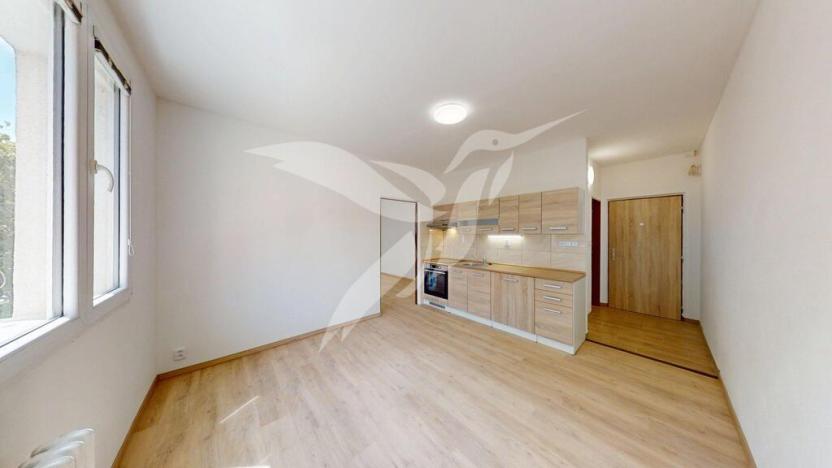 Pronájem bytu 1+1, Plzeň, Karla Steinera, 36 m2
