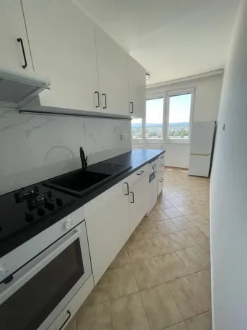 Pronájem bytu 3+1, České Budějovice - České Budějovice 3, Budivojova, 66 m2