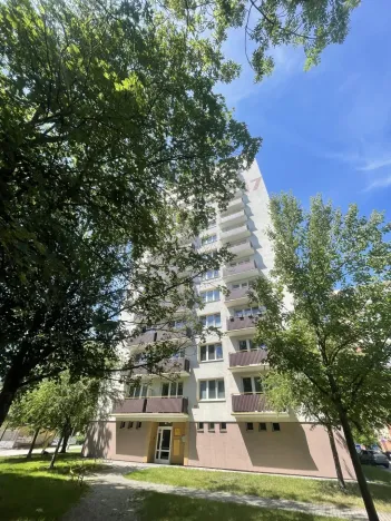 Pronájem bytu 3+1, České Budějovice - České Budějovice 3, Budivojova, 66 m2