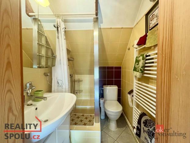 Pronájem bytu 3+kk, Přehýšov, 100 m2