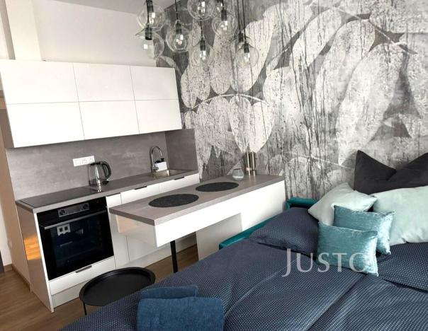 Pronájem bytu 1+kk, Písek - Pražské Předměstí, Vladislavova, 20 m2