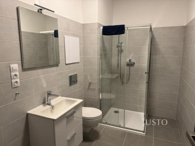 Pronájem bytu 2+kk, Písek, Vladislavova, 38 m2