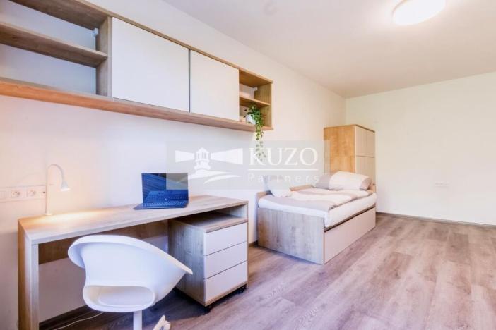 Pronájem bytu 1+kk, Brno, Plevova, 21 m2