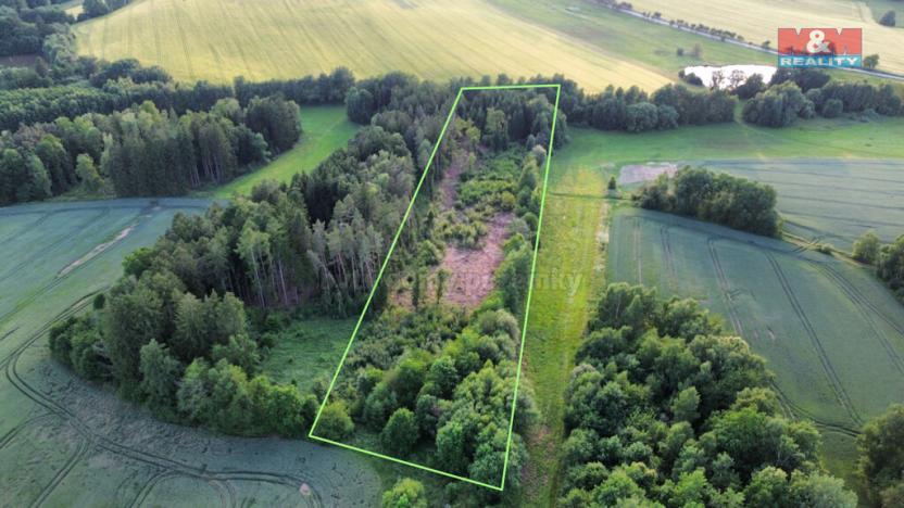 Prodej lesa, Božejov, 17153 m2