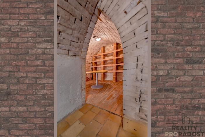 Prodej vinného sklepa, Velké Bílovice, 82 m2