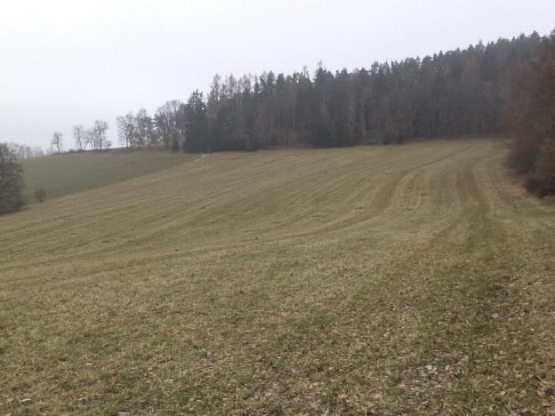 Prodej pole, Zvěstov - Bořkovice, 22738 m2