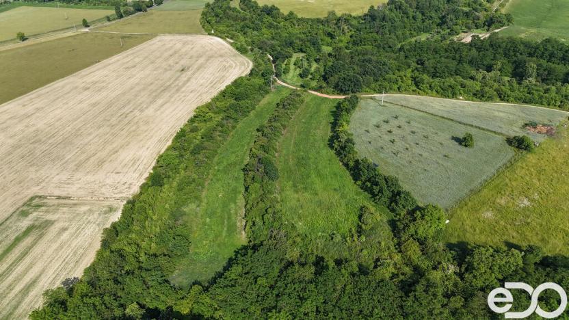 Prodej podílu 1/4 pozemku, Bechlín, 14560 m2