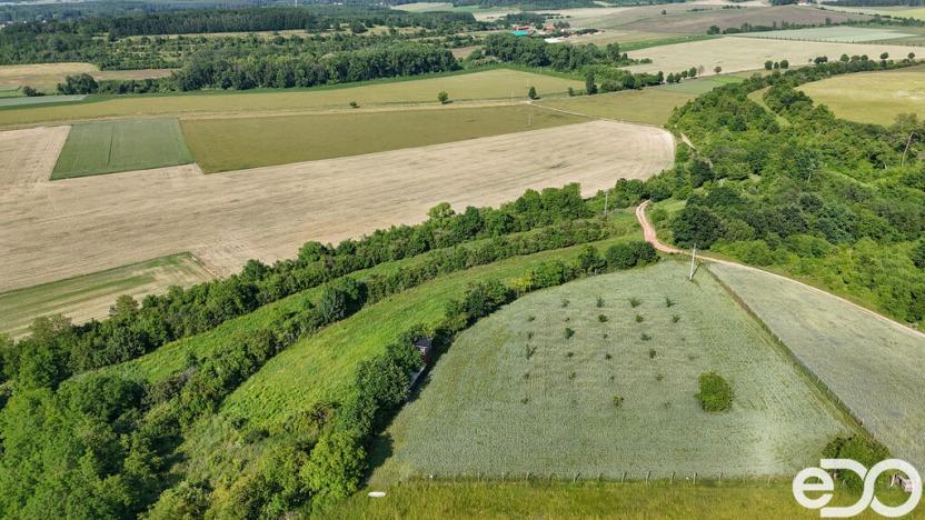 Prodej podílu 1/4 pozemku, Bechlín, 14560 m2