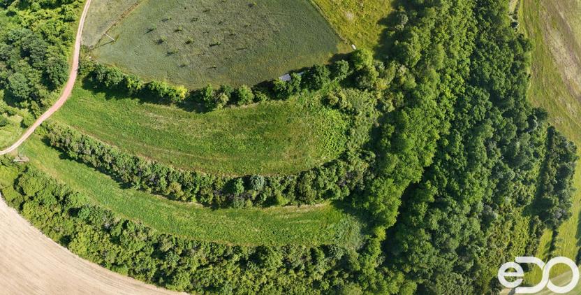 Prodej podílu 1/4 pozemku, Bechlín, 14560 m2