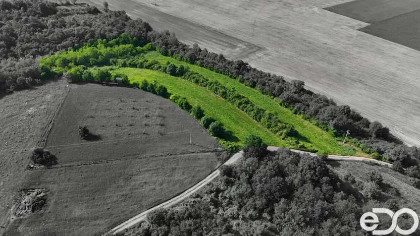 Prodej podílu 1/4 pozemku, Bechlín, 14560 m2