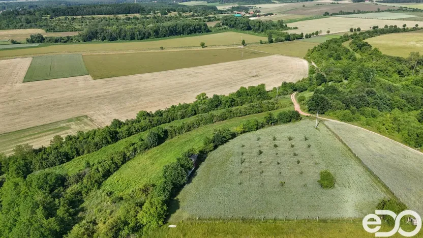 Prodej podílu 1/4 pozemku, Bechlín, 14560 m2