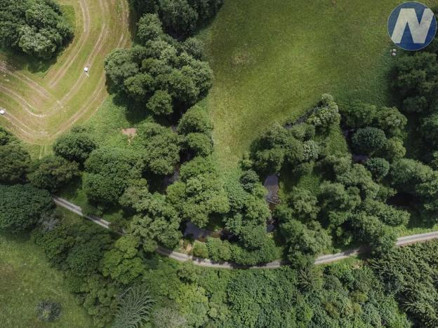 Prodej rybníku, Planá, 1939 m2