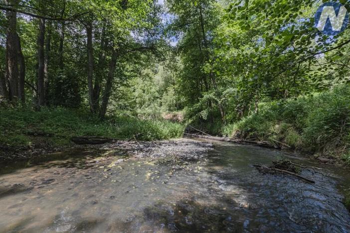 Prodej rybníku, Planá, 1939 m2