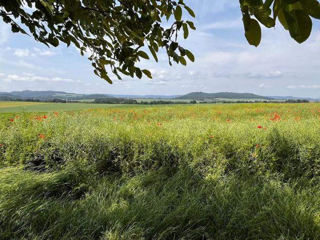 Prodej zemědělské usedlosti, Gruna, 851 m2