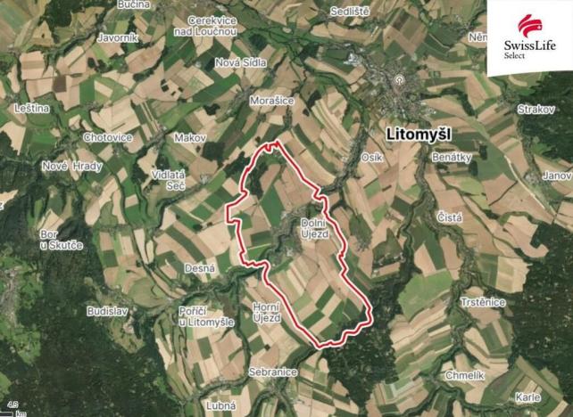 Prodej lesa, Dolní Újezd, 4254 m2