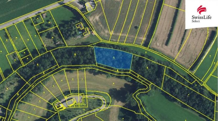 Prodej lesa, Dolní Újezd, 4254 m2