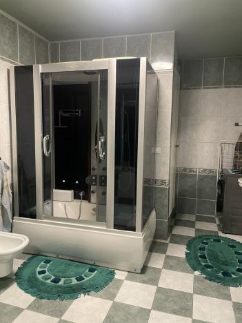 Prodej rodinného domu, Frýdek-Místek, Palkovická, 198 m2