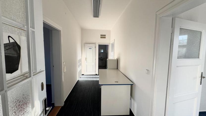 Prodej vily, Litoměřice - Předměstí, Neumannova, 260 m2