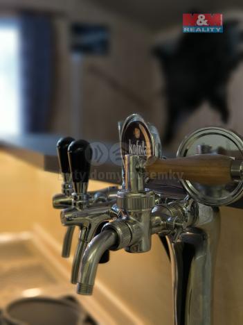 Prodej restaurace, Orlová - Lutyně, Modřínová, 330 m2