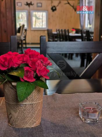 Prodej restaurace, Orlová - Lutyně, Modřínová, 330 m2
