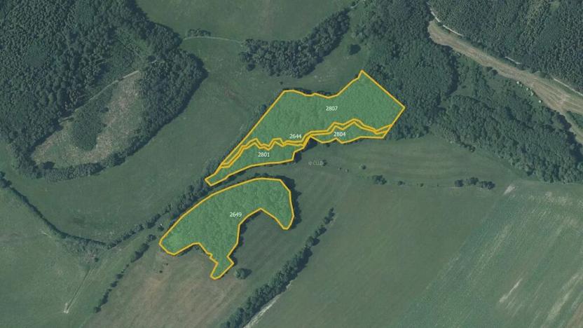 Prodej lesa, Budišov nad Budišovkou, 40440 m2