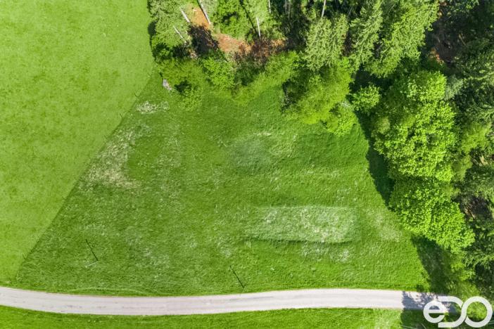 Prodej pozemku pro bydlení, Frymburk, 5934 m2