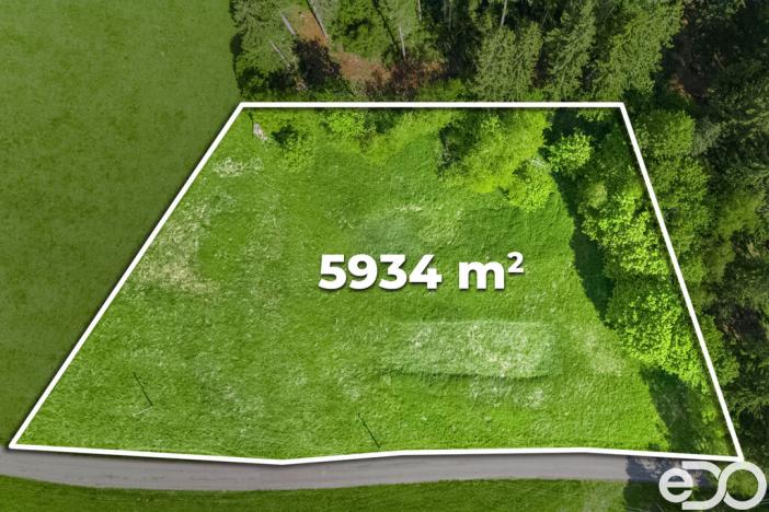 Prodej pozemku pro bydlení, Frymburk, 5934 m2