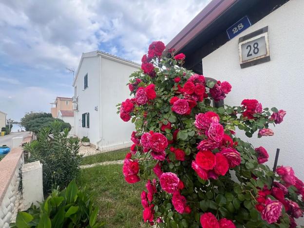 Prodej bytu 2+kk, Vir, Chorvatsko, 41 m2