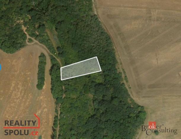 Prodej pozemku, Staňkovice - Tvršice, 802 m2