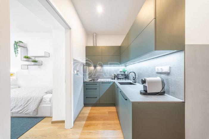 Pronájem bytu 1+kk, Praha - Žižkov, Milíčova, 33 m2