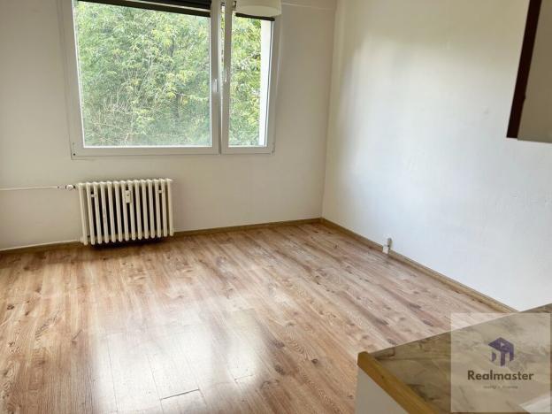 Pronájem bytu 1+1, Litvínov - Horní Litvínov, Tylova, 36 m2