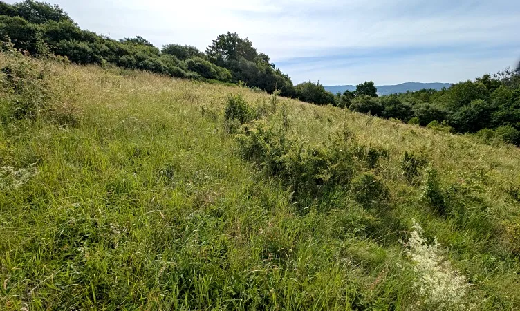 Prodej pozemku, Vizovice, 32591 m2