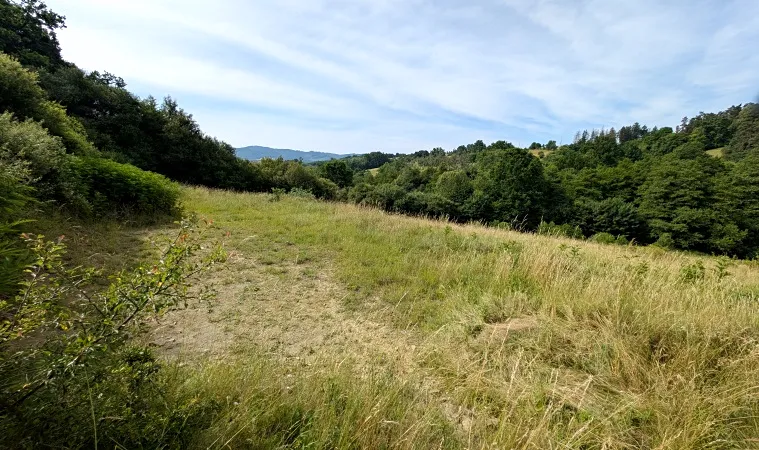 Prodej pozemku, Vizovice, 32591 m2