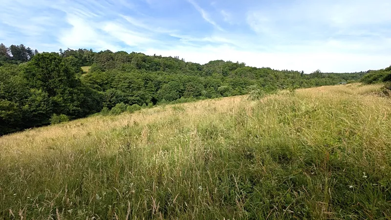 Prodej pozemku, Vizovice, 32591 m2