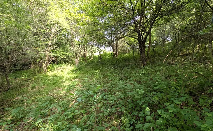 Prodej pozemku, Vizovice, 32591 m2