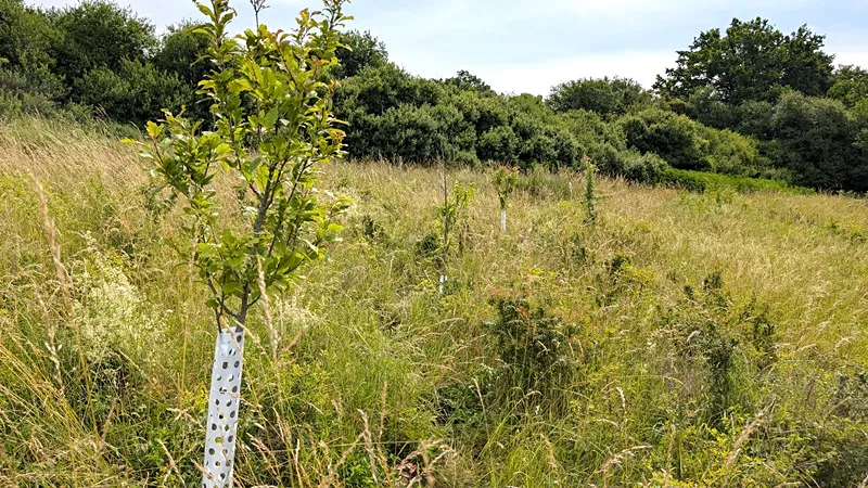 Prodej pozemku, Vizovice, 32591 m2