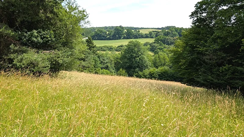 Prodej pozemku, Vizovice, 32591 m2