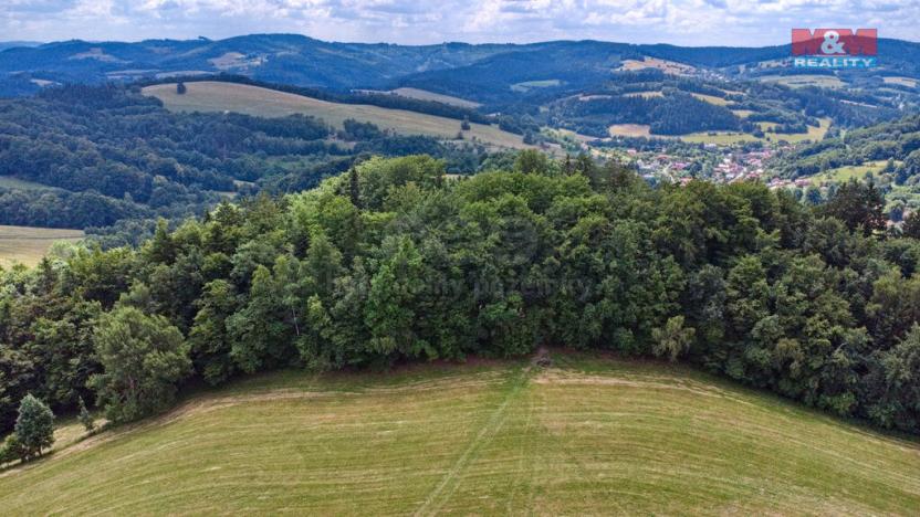 Prodej louky, Prlov, 14409 m2